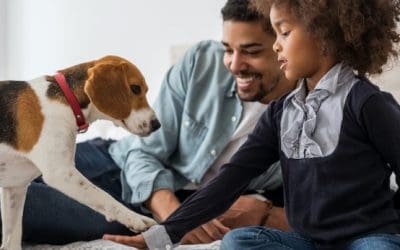 Rental Housing Owners Can Attract and Retain More Residents by Adopting Pet-Inclusive Policies, According to New Report