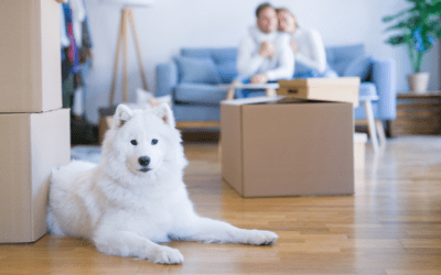 New Report Highlights the Benefits of Pet-Friendly Housing