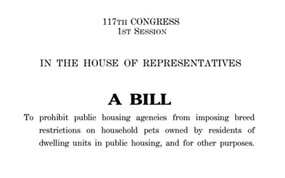 Congress Members Cite MFA’s Pet-Inclusive Housing Initiative Report in Introducing the ‘Pets Belong with Families Act’