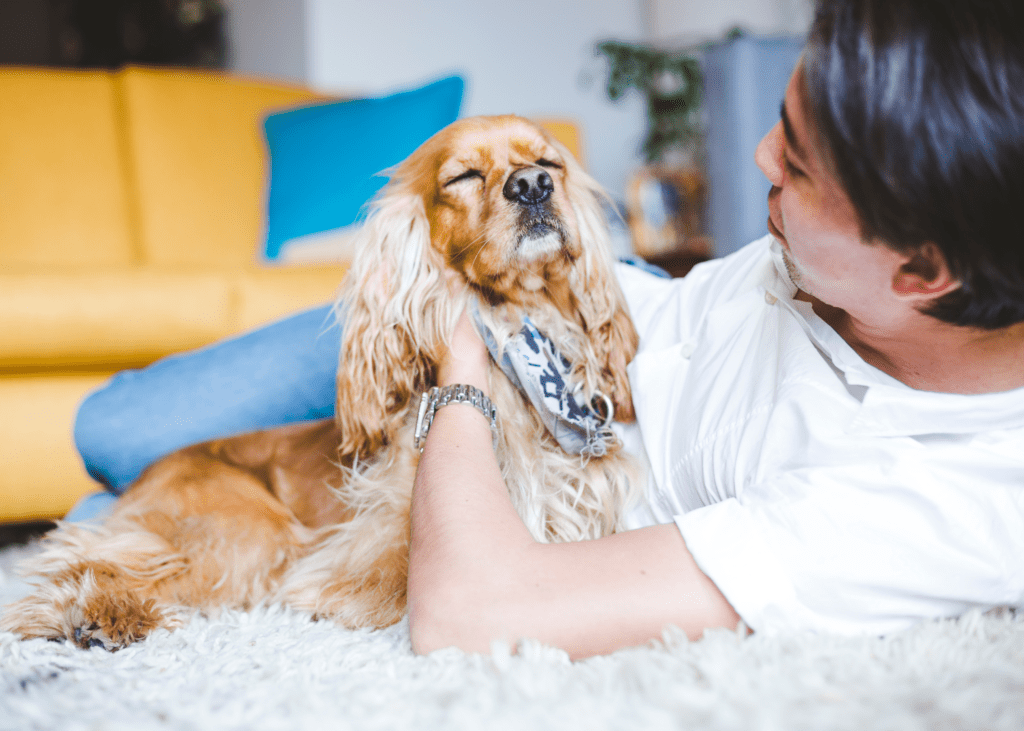 J.C. Hart Expands Adoption Awareness and Pet Inclusivity