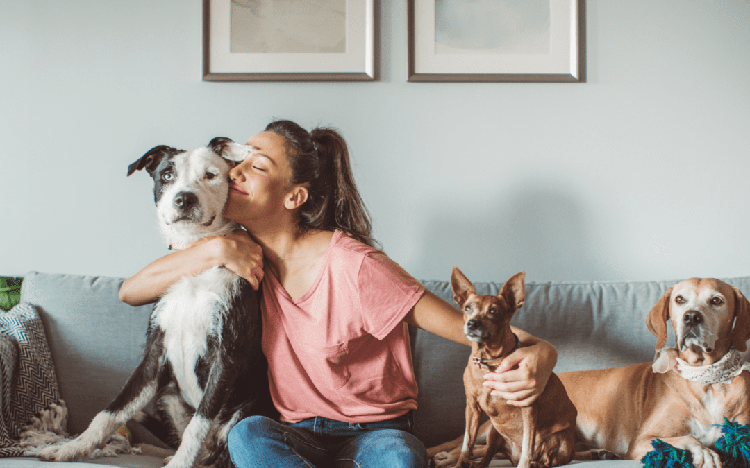 Building Stronger Communities by Welcoming More Pets – Thoughtfully and Responsibly