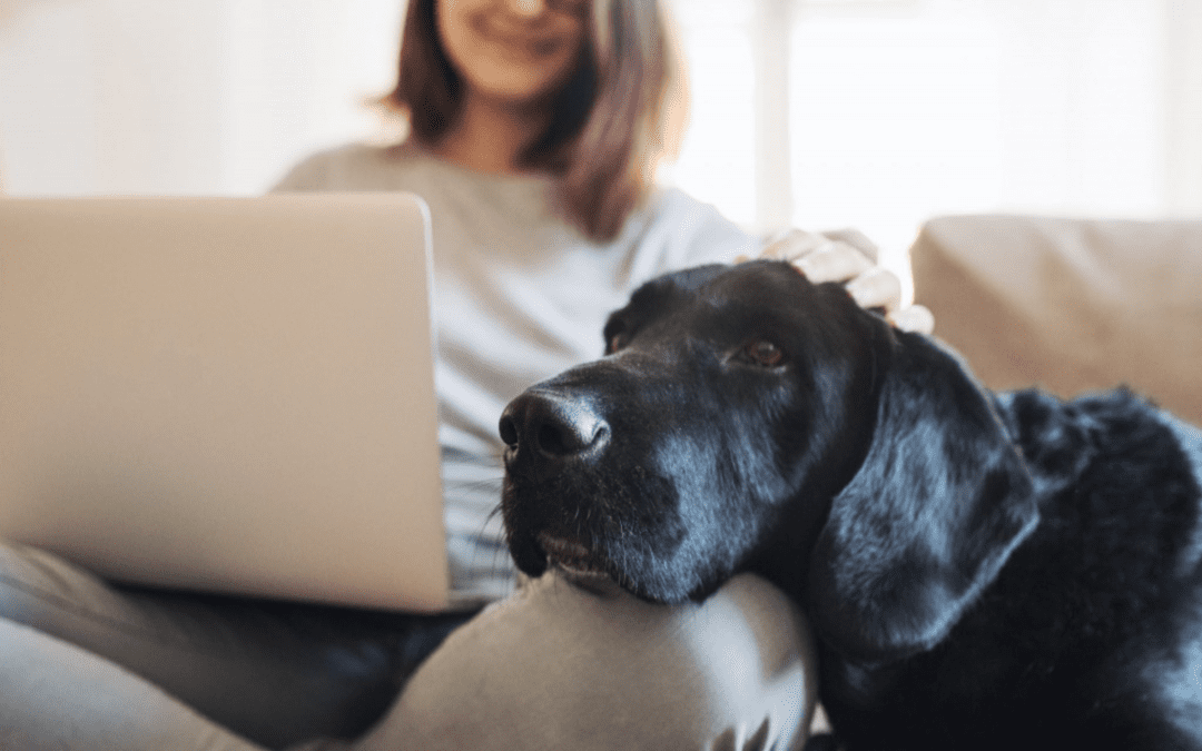 Lease Retention, Demand Marketing and – oh, yes — Pet Inclusivity
