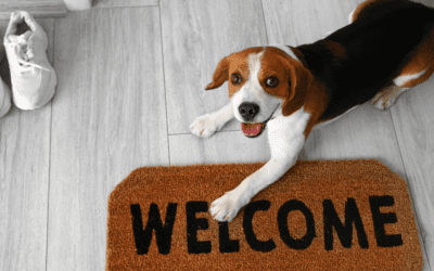 Room to Grow: Multifamily Operators Have Opportunities to Become More Pet-Inclusive