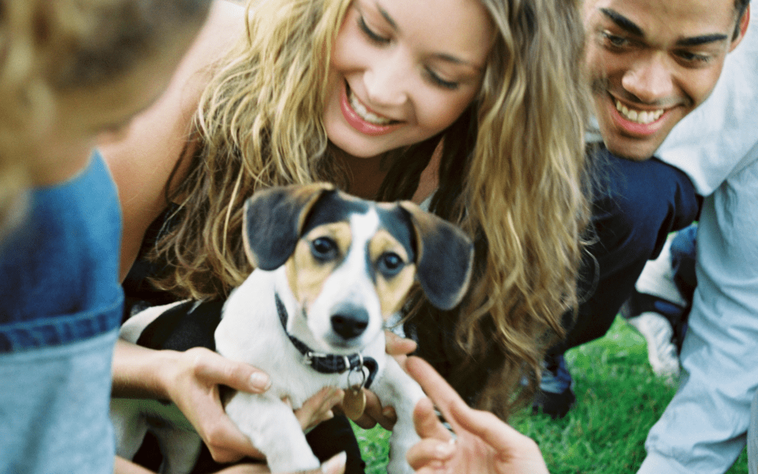 Helping Rental Residents Become the Best Community-Friendly Pet Parents