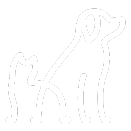 cat and dog (1)