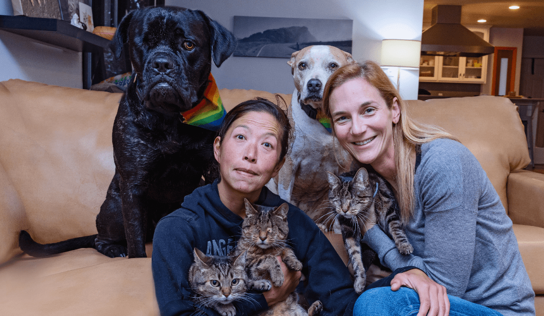 Rental Housing Resources for Pet Owners PetInclusive Housing Initiative