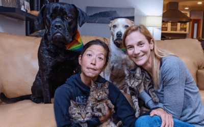 Pet Legislation: How Operators Can Meet These Challenges Proactively