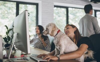 Are You Capturing the Right Data to Optimize Your Pet Strategies?