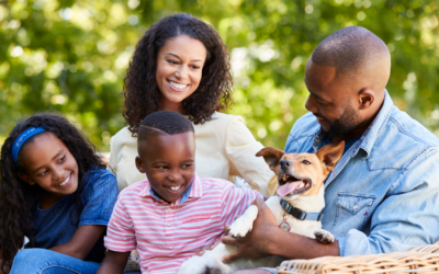 The Premier Pet Awards Opportunity for Rental Housing Operators