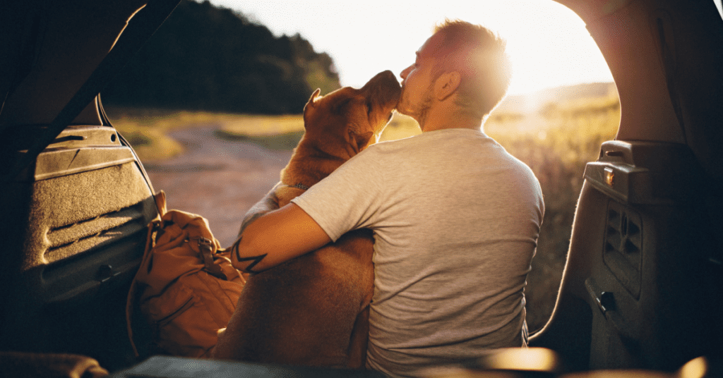 animal companionship