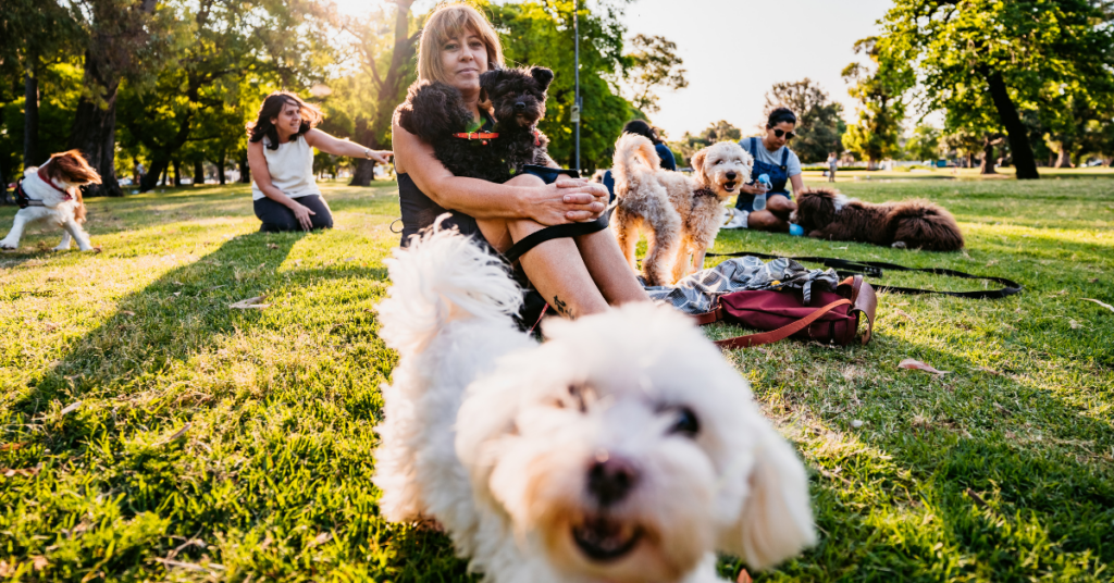 crafting the ideal pet-inclusive community