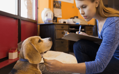 Lost Pet Recovery Plan for Pet-Inclusive Communities