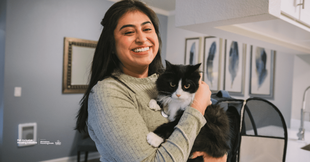 A Purrfect Plan: How to Turn Your Community into a Cat Paradise
