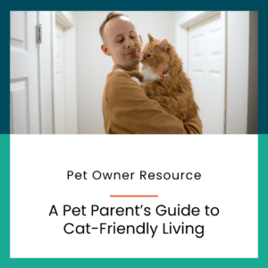 Young man hold his orange fluffy cat