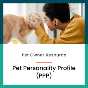 Woman warmly holding pet cat's cheeks