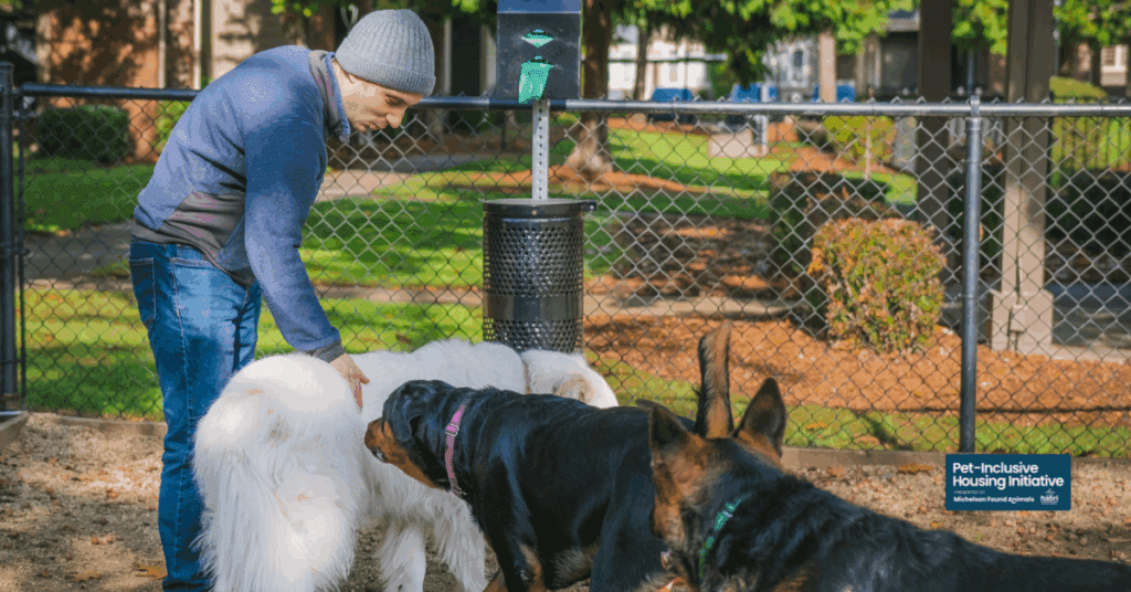 Man in apartment complex dog park with three large dogs