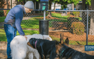 Breaking the Myth: Liability Insurance and Pet-Inclusive Multifamily Housing