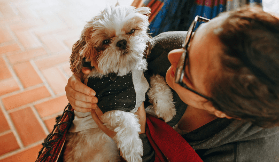 New Collaborative Report: Housing Instability & Pet Rehoming