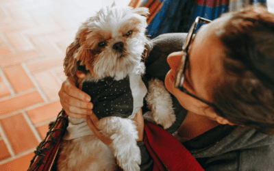 New Collaborative Report: Housing Instability & Pet Rehoming