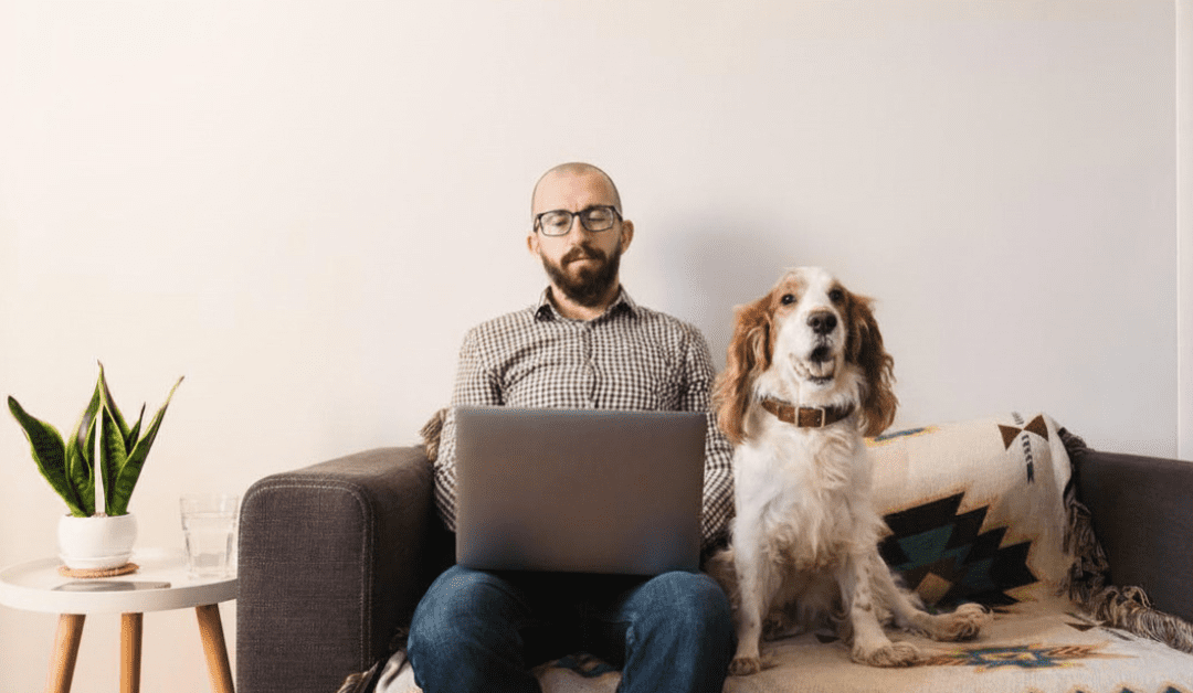 Pet Policies Shouldn’t Be a Plot Twist: Why Full Transparency Is the Future of Pet-Inclusive Housing