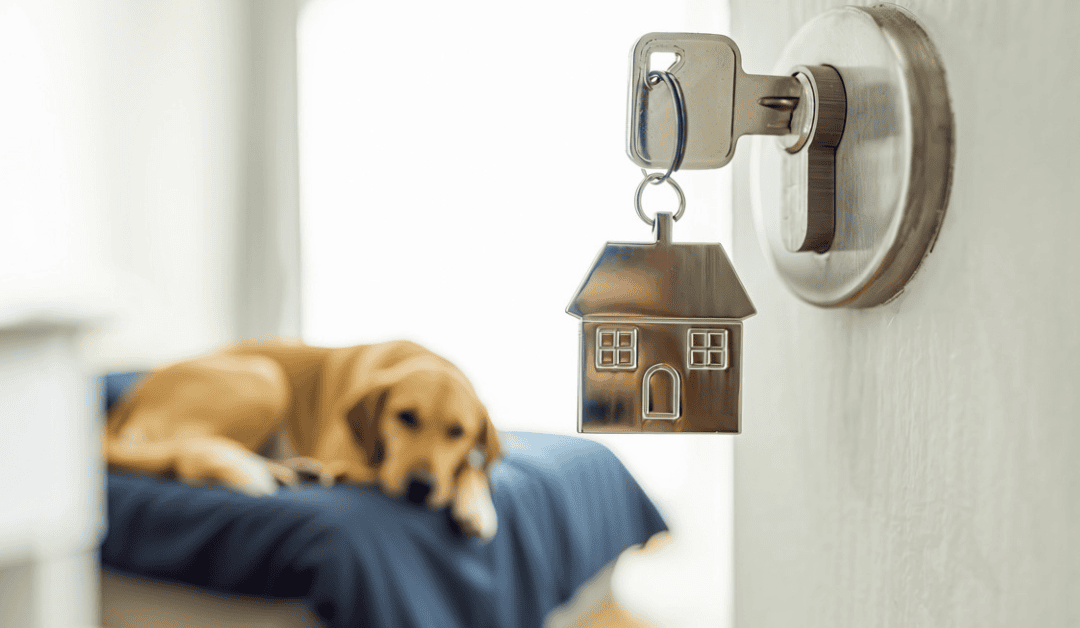 Lead, Follow, or Be Legislated: Rental Housing’s Pet Policy Reckoning