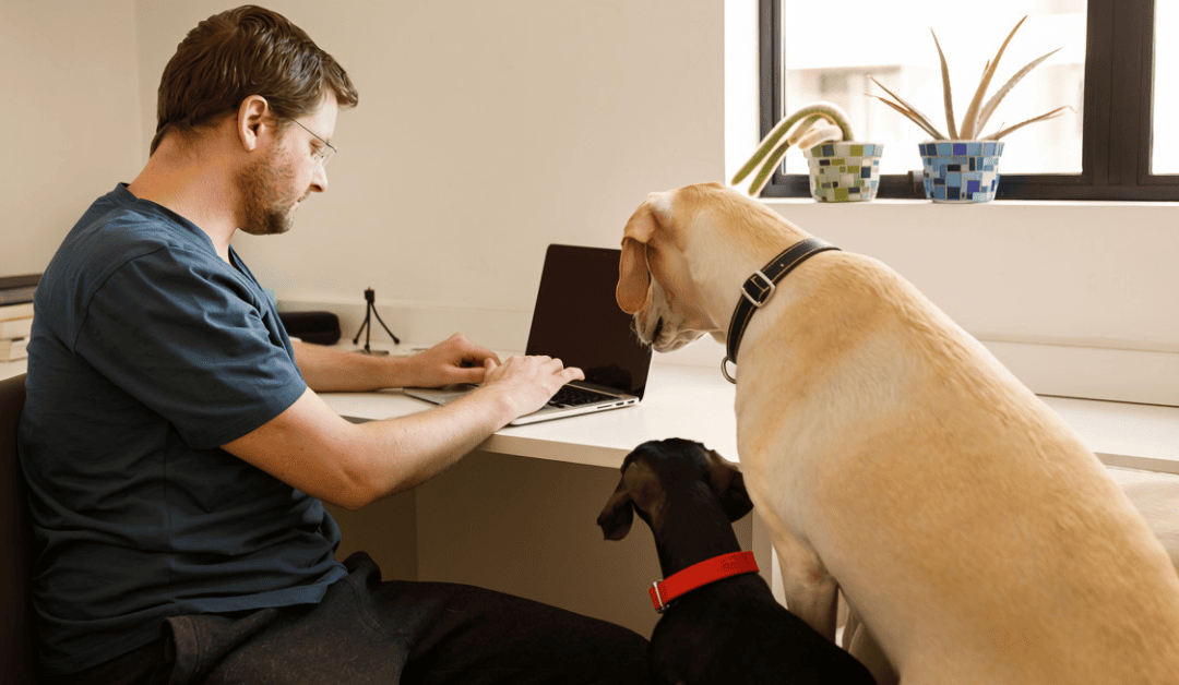Pet-Inclusive Housing Starts Before the Lease Is Signed