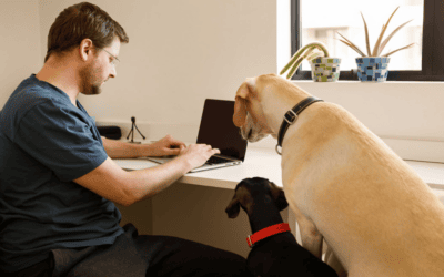 Pet-Inclusive Housing Starts Before the Lease Is Signed